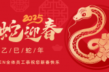 辭舊迎新，蛇舞華章丨深圳容金科技全體員工祝您新春快樂！