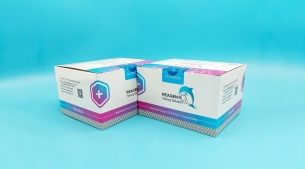 單核細(xì)胞增生李斯特菌恒溫核酸檢測試劑盒