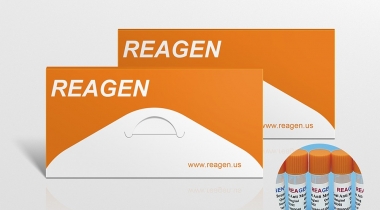 2019-nCOV NP antigen